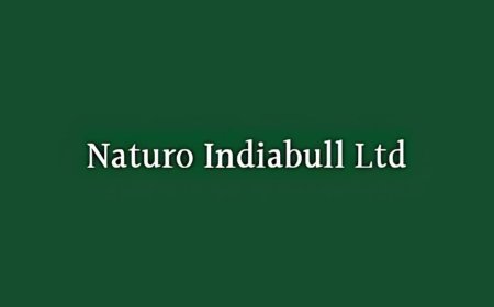 Naturo Indiabull’s profit jumps over 114 percent to Rs. 49.3 lakh in first half of FY 2025