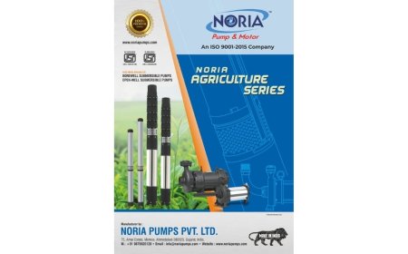 Noria Pumps Leading a Global Revolution in Submersible Pump Manufacturing