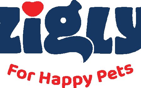 Zigly Shines at the 2025 Indian Pet Industry Awards