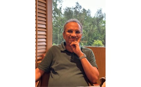 The Global Family Office Model: Soumik Bandyopadhyay Lessons for Emerging Economies